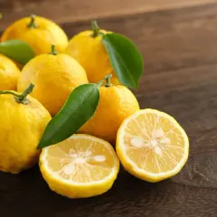 Kilka żółtych owoców yuzu, jeden przekrojony na pół, leży na drewnianym blacie.