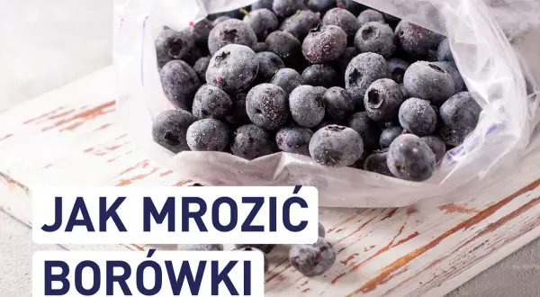 Mrożone borówki w woreczku. Dowiedz się, czy borówki można mrozić i jak to zrobić, by zachowały świeżość.