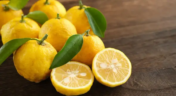 Kilka żółtych owoców yuzu, jeden przekrojony na pół, leży na drewnianym blacie.