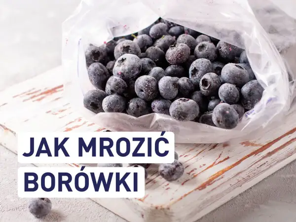 Mrożone borówki w woreczku. Dowiedz się, czy borówki można mrozić i jak to zrobić, by zachowały świeżość.